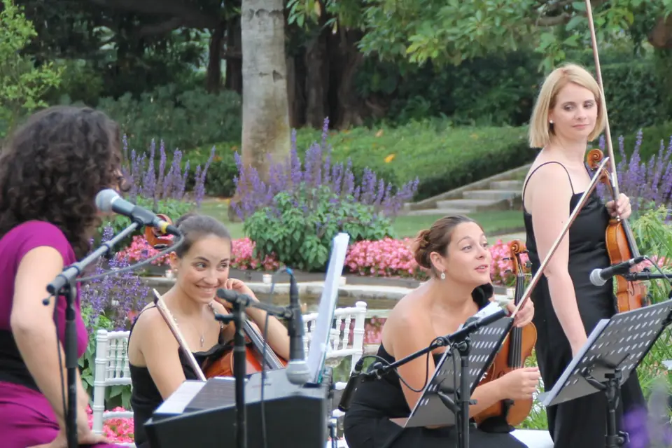 Lady's Orchestra — photo 2