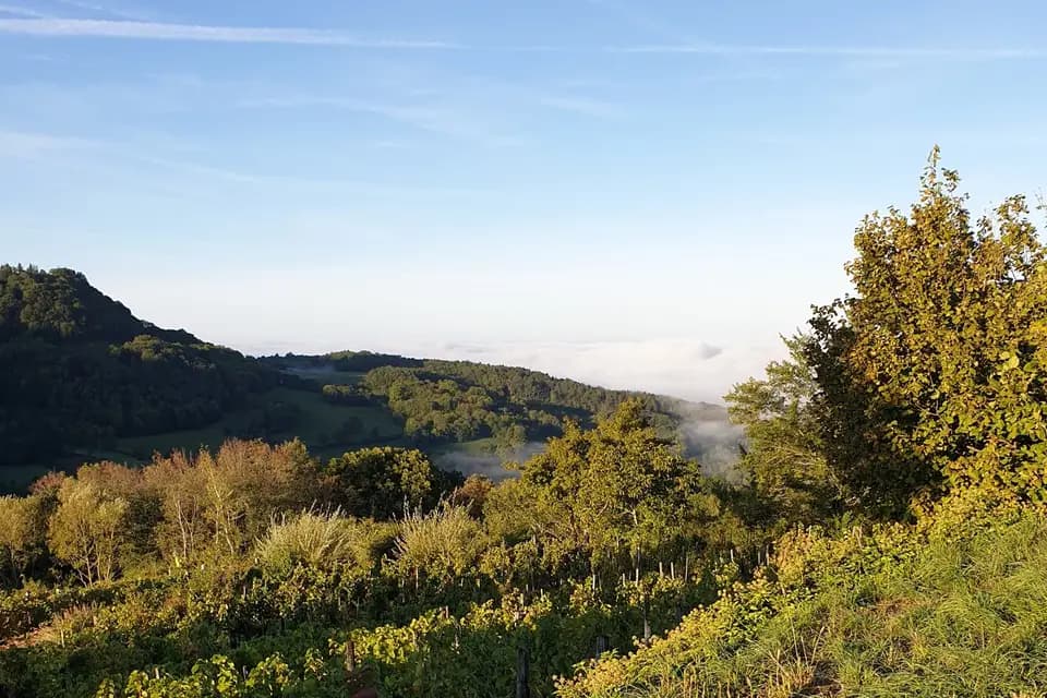 Les Maisons de Châtel — photo 7