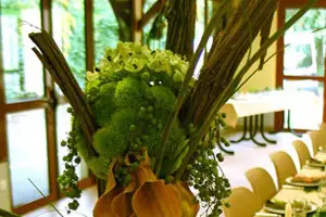 Nature Acidulée — photo 3