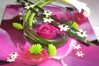 Nature Acidulée — photo 2