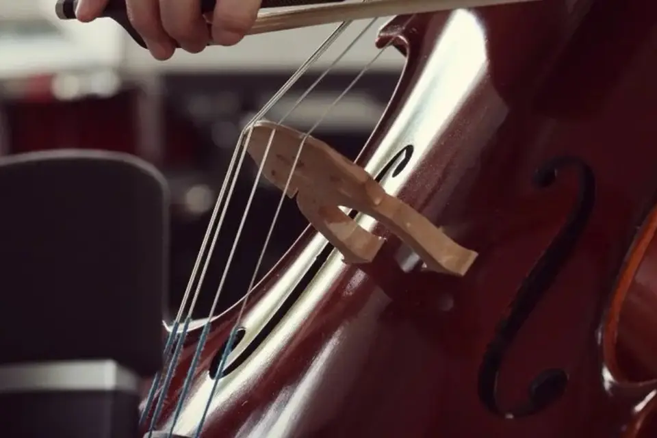 Clochette64 — photo 6