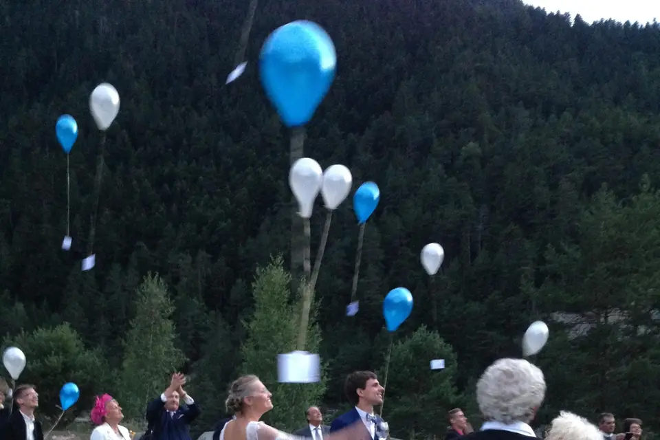 Showtime Animations — photo 7