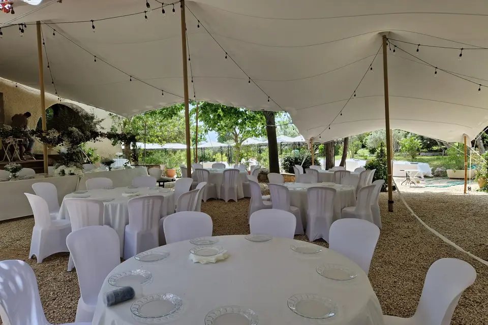 Domaine de Chante Grillet — photo 3