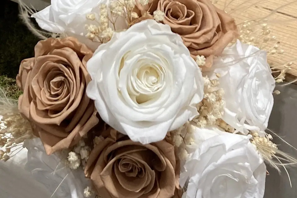 Les Petites Natures — photo 1