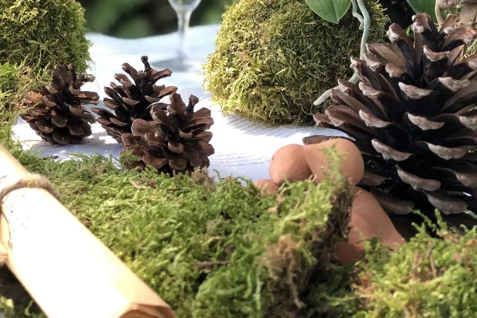 Les Petites Natures — photo 6