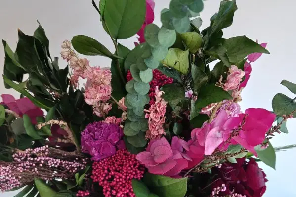 Les Petites Natures — photo 4