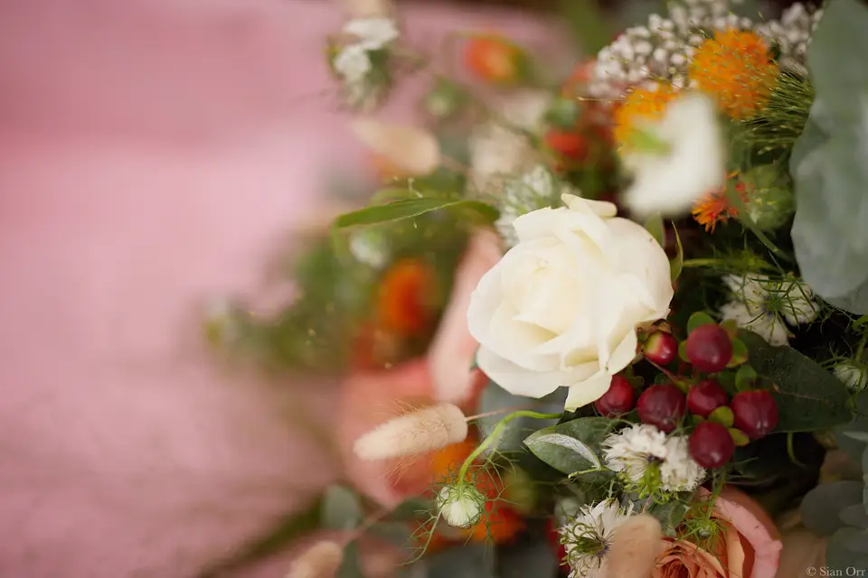 Sian Orr — photo 1