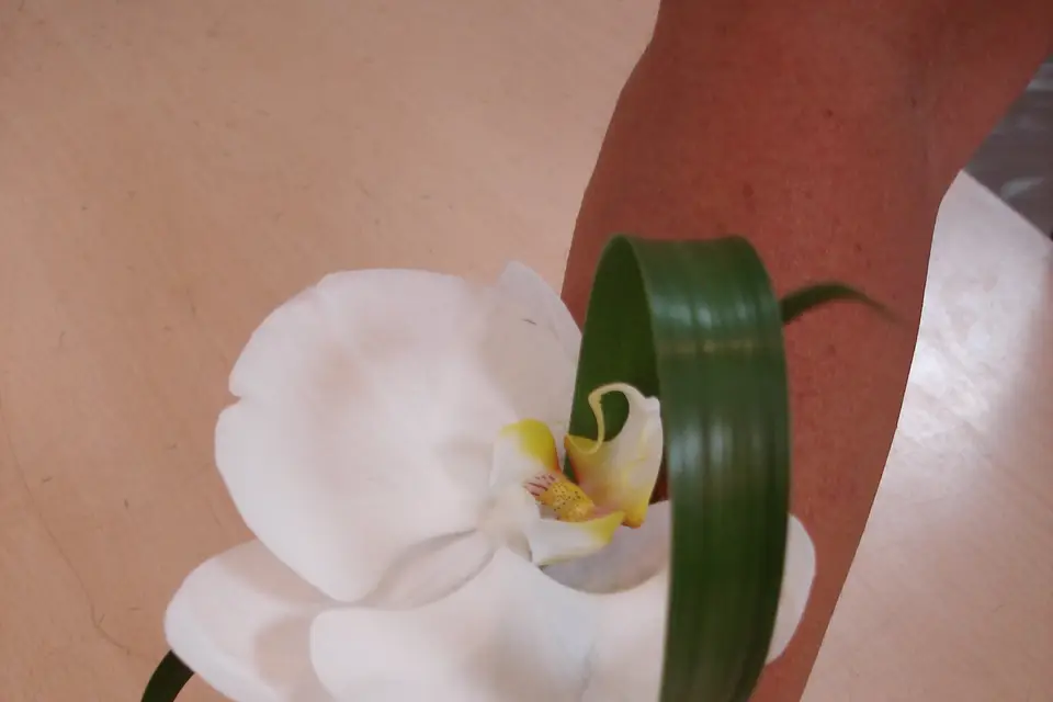 Jean Farges Fleuriste — photo 3