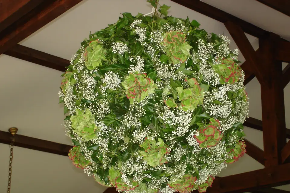 Jean Farges Fleuriste — photo 5