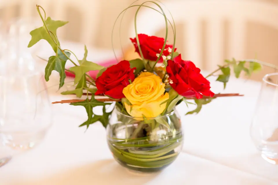 Les mains d'Elferda — photo 2