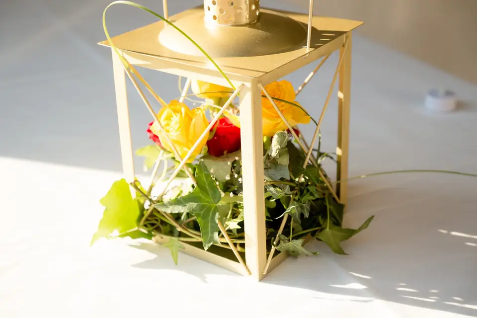 Les mains d'Elferda — photo 3