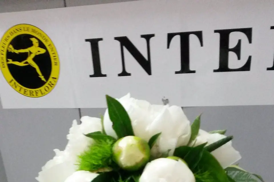 La Roche aux Fleurs — photo 4