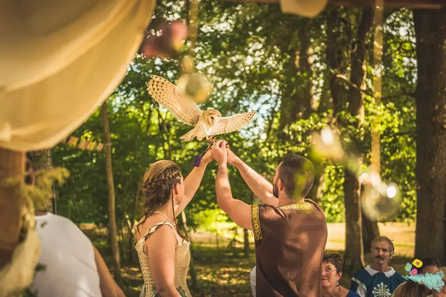 Equivol Fauconnerie — photo 1