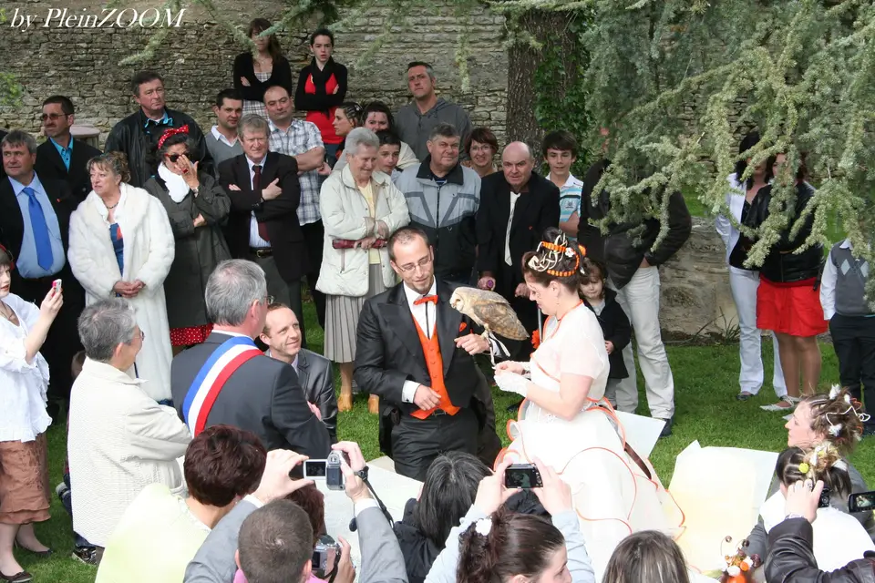 Equivol Fauconnerie — photo 8