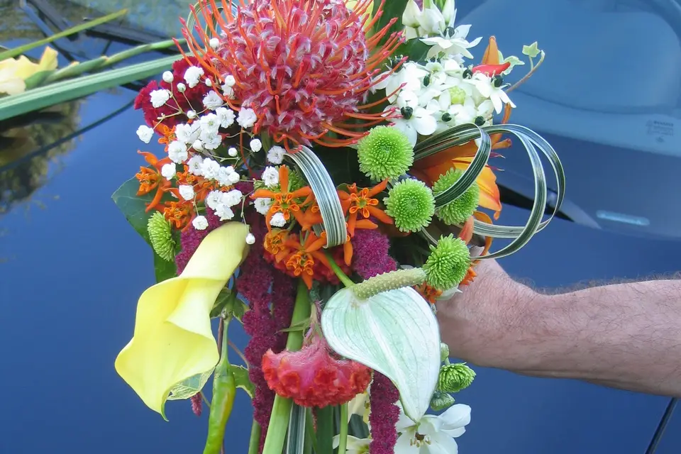 La Roche aux Fleurs — photo 6