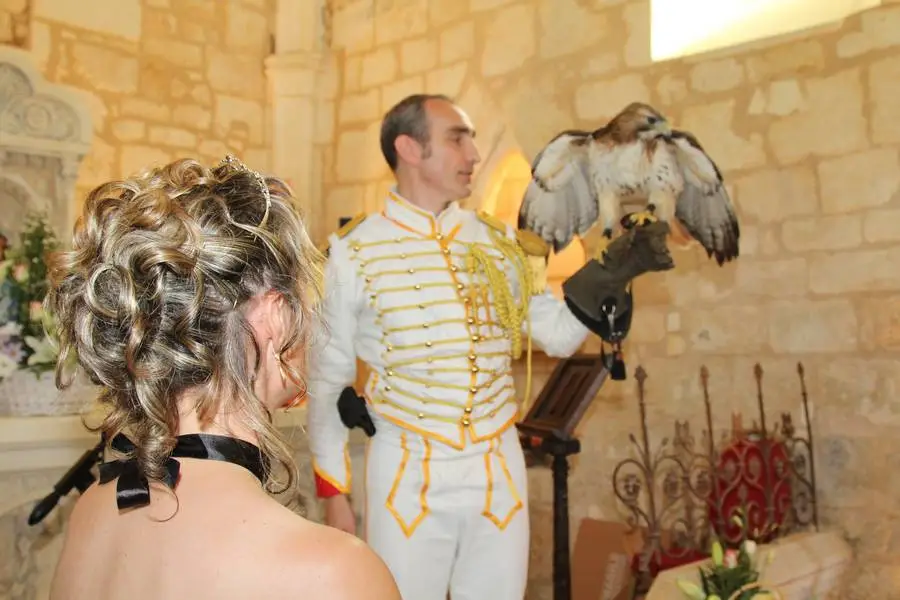 Equivol Fauconnerie — photo 3