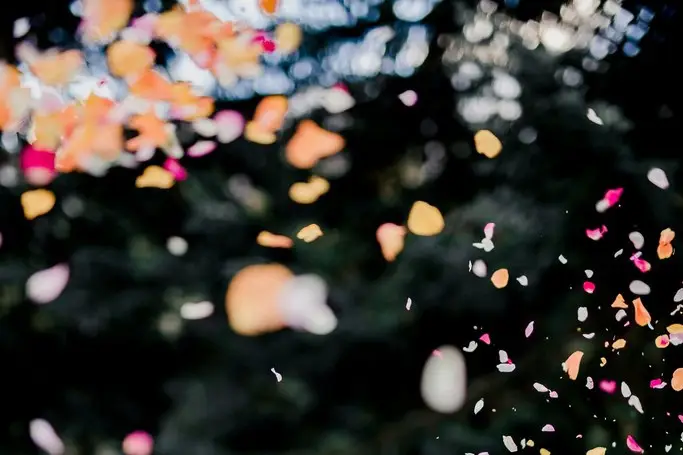 GCB - Décoratrice Designer — photo 1