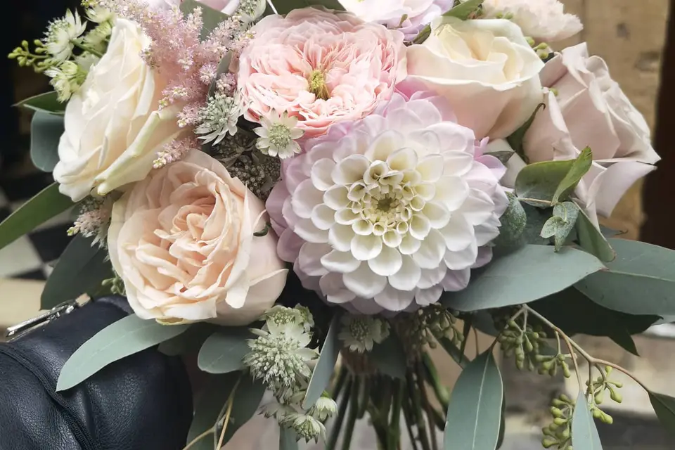 Loli Blumen — photo 7