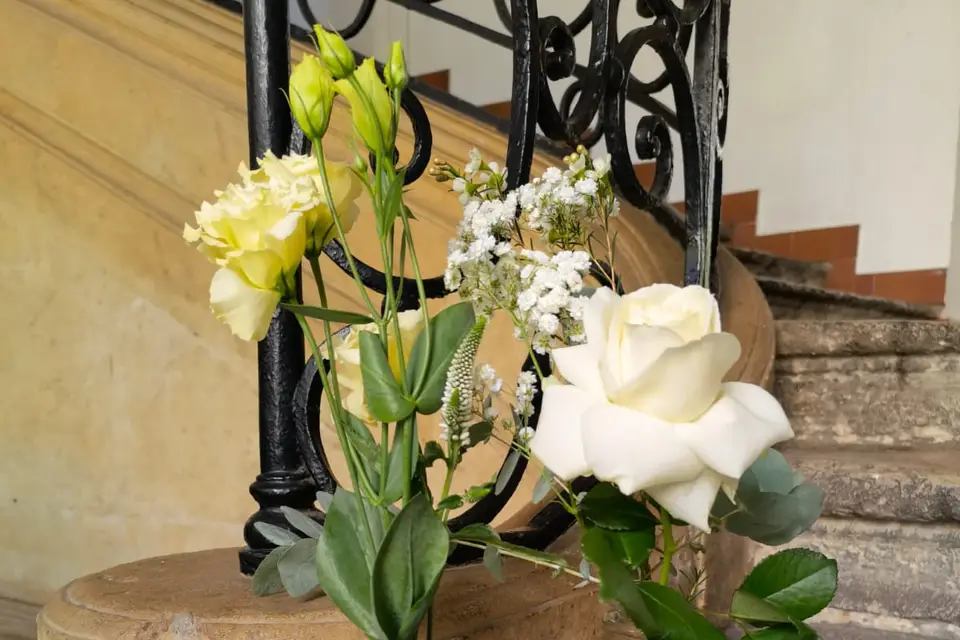 Loli Blumen — photo 5