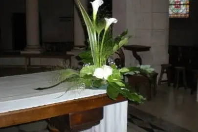 LMCfleurs — photo 3