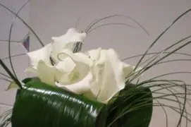 LMCfleurs — photo 5