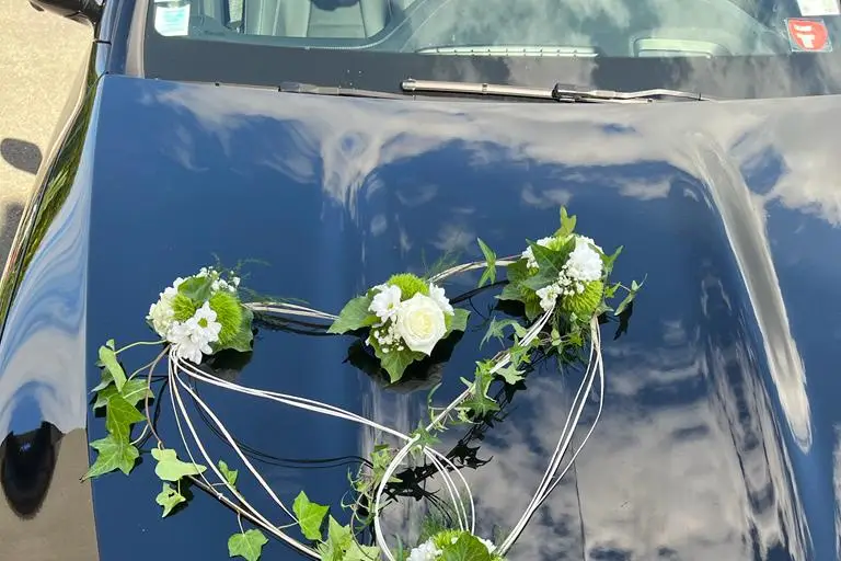 Soludrive — photo 7