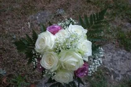 LMCfleurs — photo 7