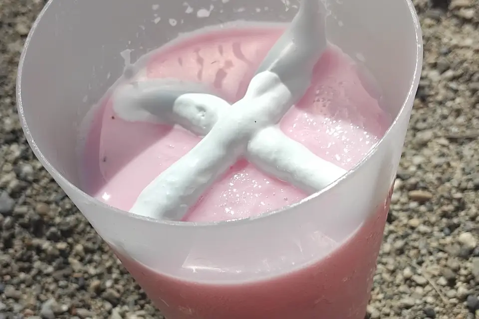 Swice Roll — photo 3