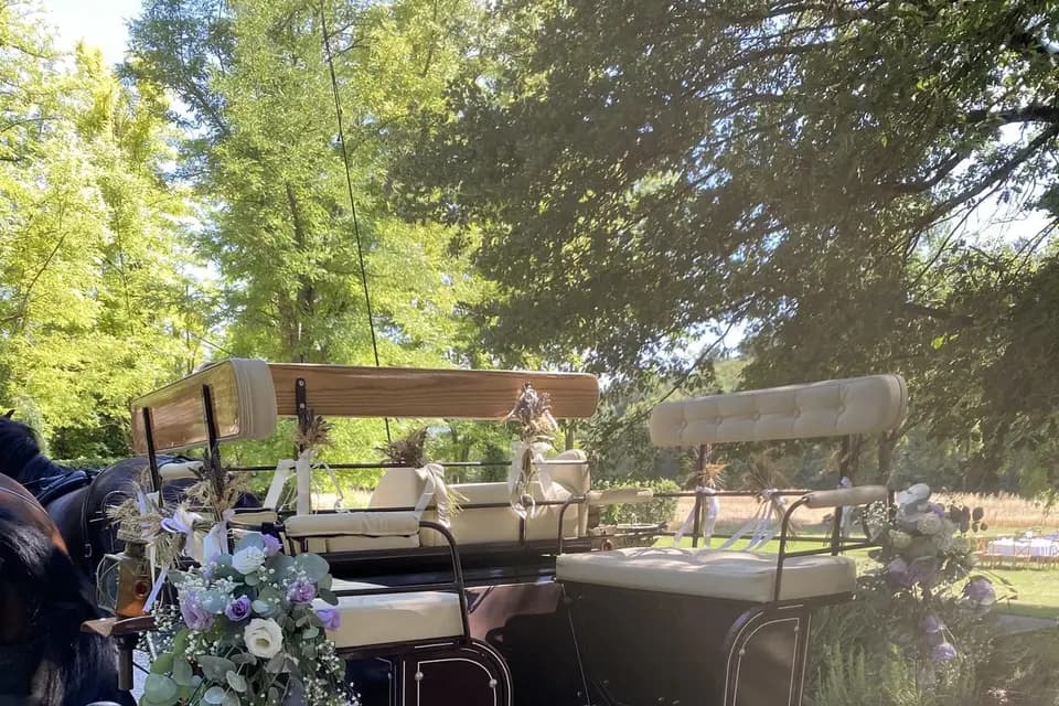 Les Crins de Gaïa — photo 4