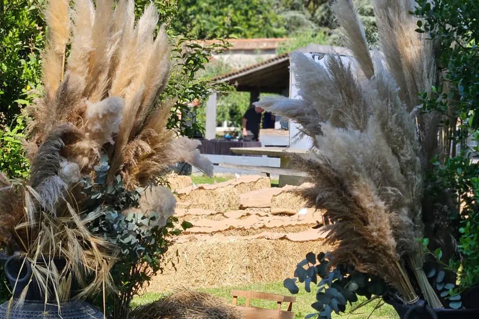 Maison de Rose — photo 5