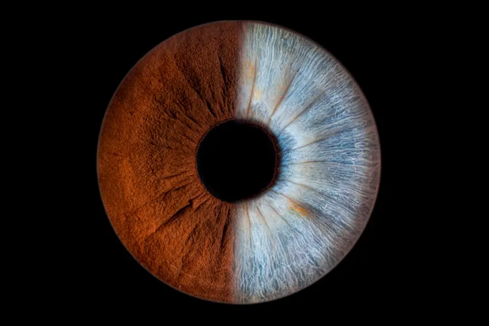 Le Kiosque à Iris — photo 4