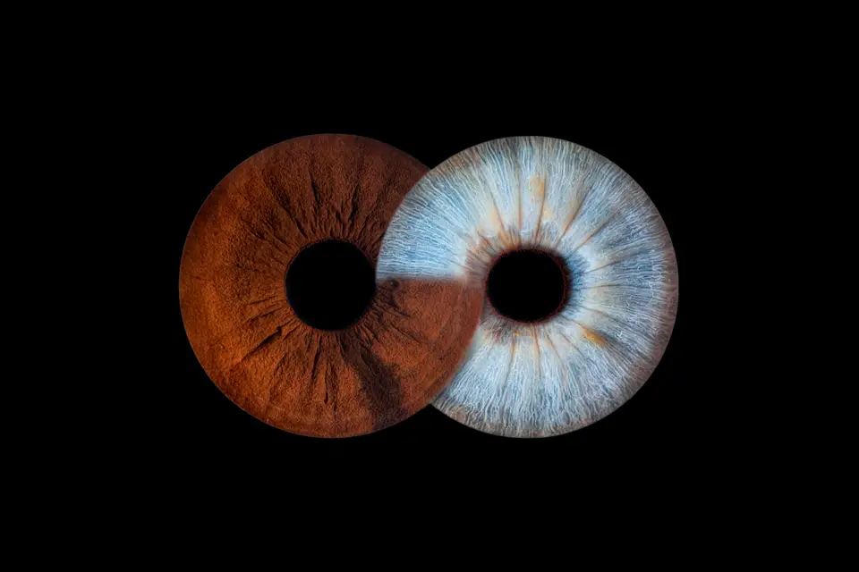 Le Kiosque à Iris — photo 8