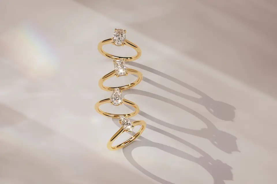 Zeina Alliances Grenoble — photo 8