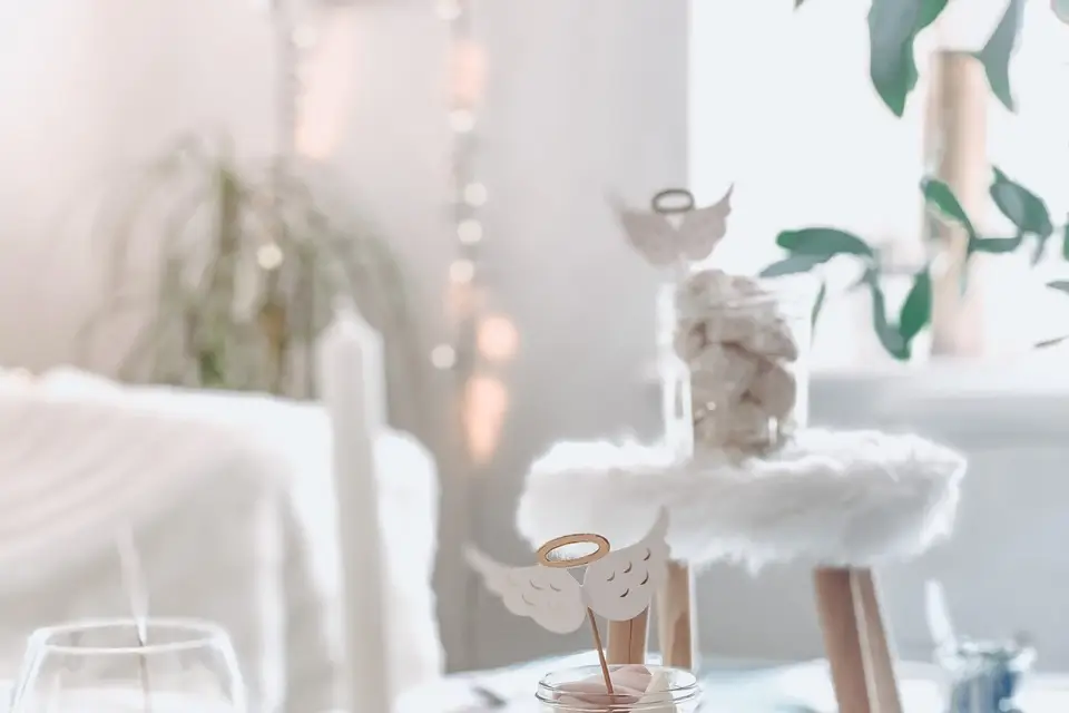 Les Boaimes — photo 7