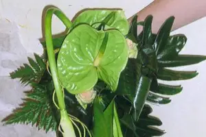 L'Atelier Nature — photo 5