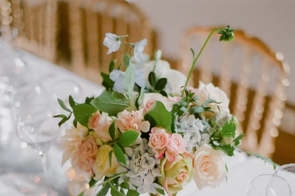 Peaches & Cream Weddings — photo 7