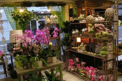 L'Atelier Nature — photo 6