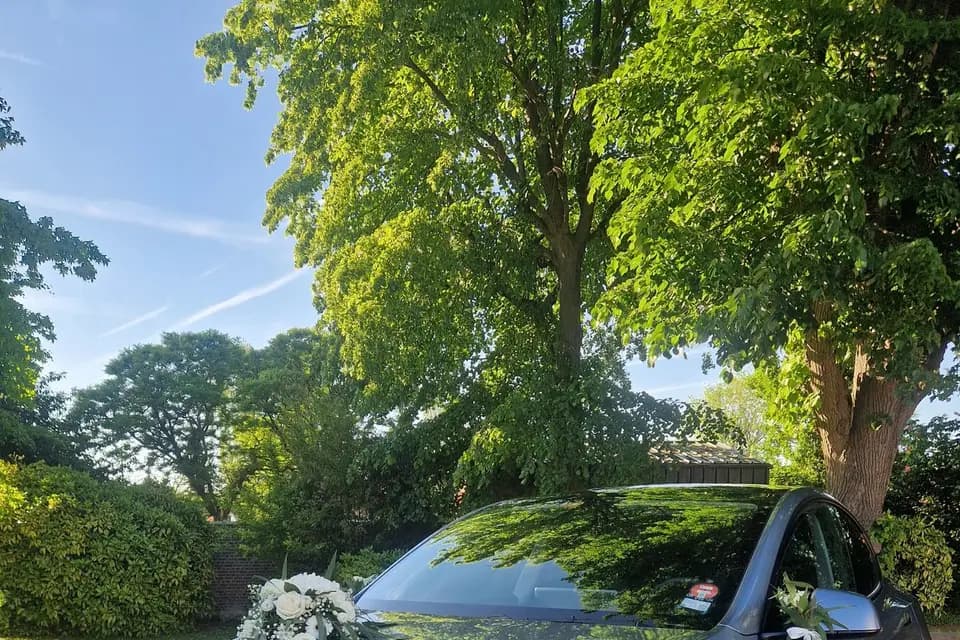 VTC en Nord — photo 8