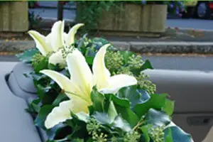 Lycée Fleuri — photo 7