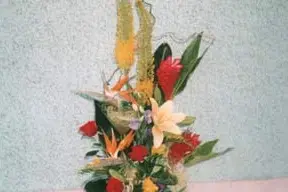 Corolles Fleurs — photo 5