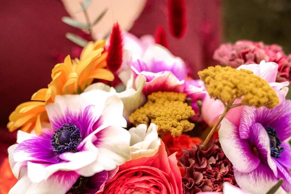 Atelier Lilas Bloom — photo 8