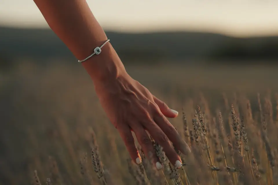 The Maprod — photo 6