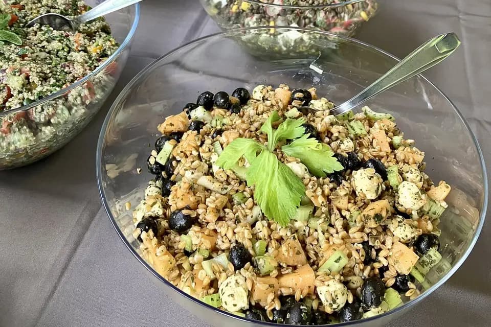 Caméléon Gourmand — photo 5