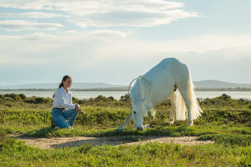 Trosset Laetitia — photo 8