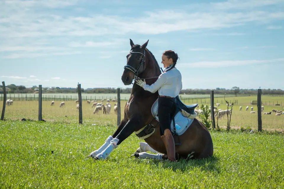 Trosset Laetitia — photo 7