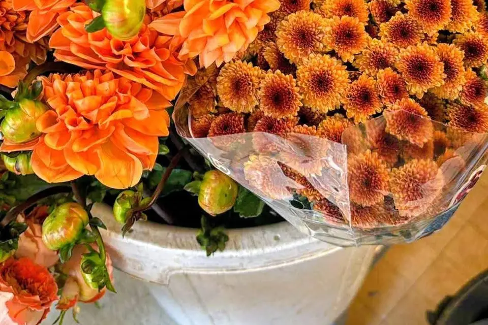 Les Noces Bohèmes — photo 4