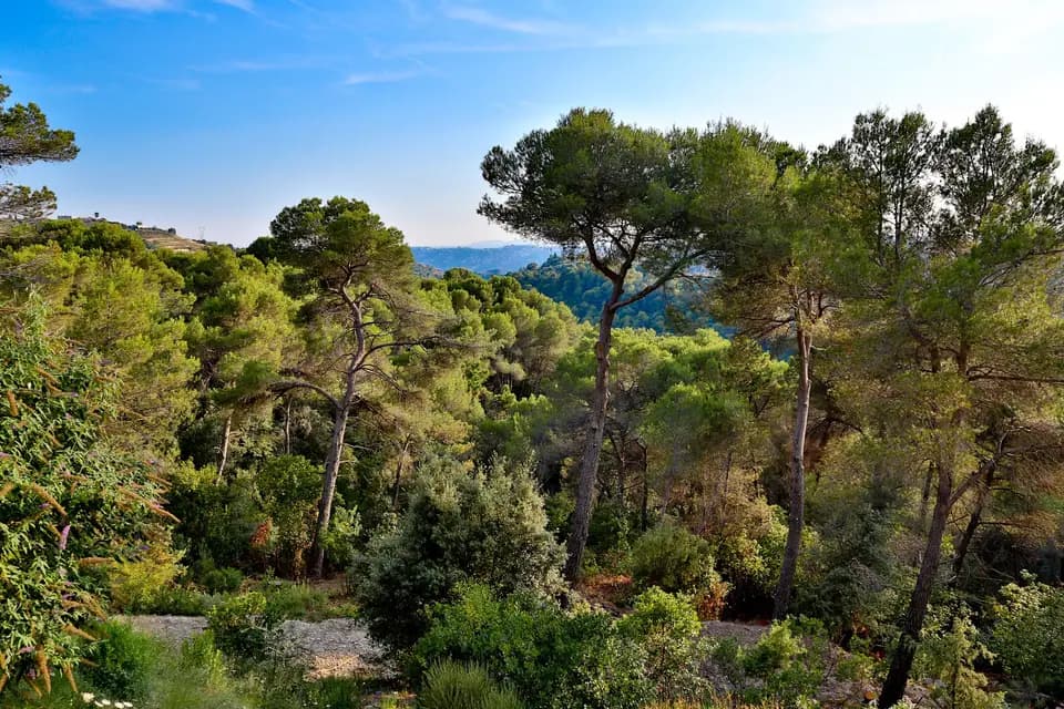 Domaine de Cleverland — photo 5