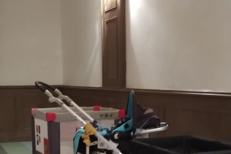 Anim'Escence — photo 5