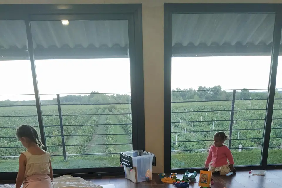 Anim'Escence — photo 3