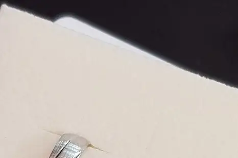 Franck Daumin — photo 7